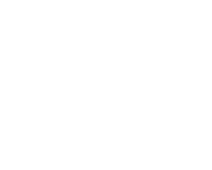 HSJ Logo White Transparent